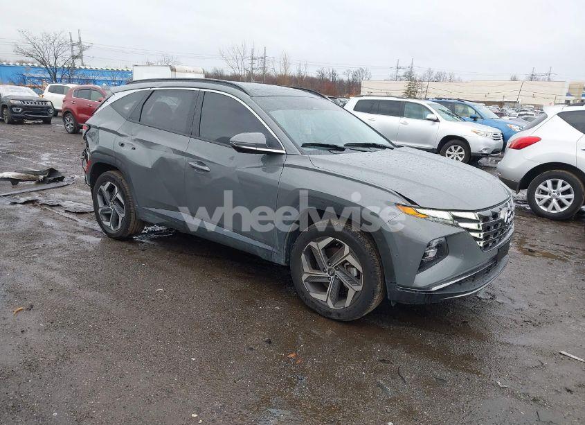 2024 Hyundai Tucson LIMITED (VIN 5NMJECDE4RH377859) main photo