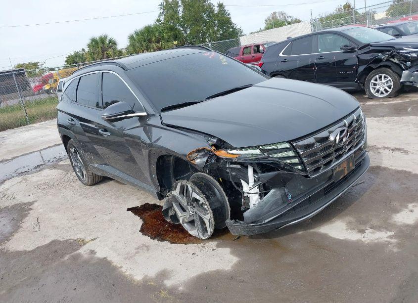 2024 Hyundai Tucson LIMITED (VIN 5NMJECDE5RH306668) main photo