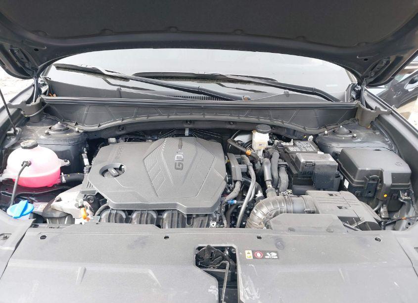 Photo 10 of 2024 Hyundai Tucson LIMITED (VIN 5NMJECDE5RH306668)