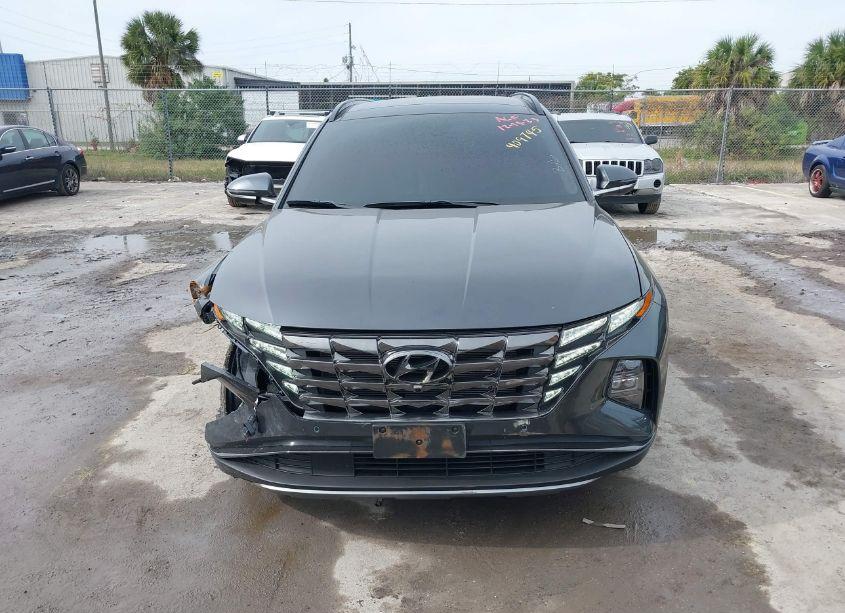 Photo 12 of 2024 Hyundai Tucson LIMITED (VIN 5NMJECDE5RH306668)