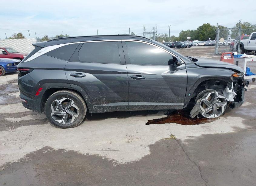 Photo 13 of 2024 Hyundai Tucson LIMITED (VIN 5NMJECDE5RH306668)
