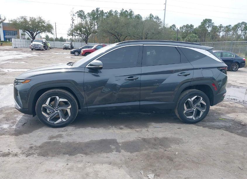 Photo 14 of 2024 Hyundai Tucson LIMITED (VIN 5NMJECDE5RH306668)