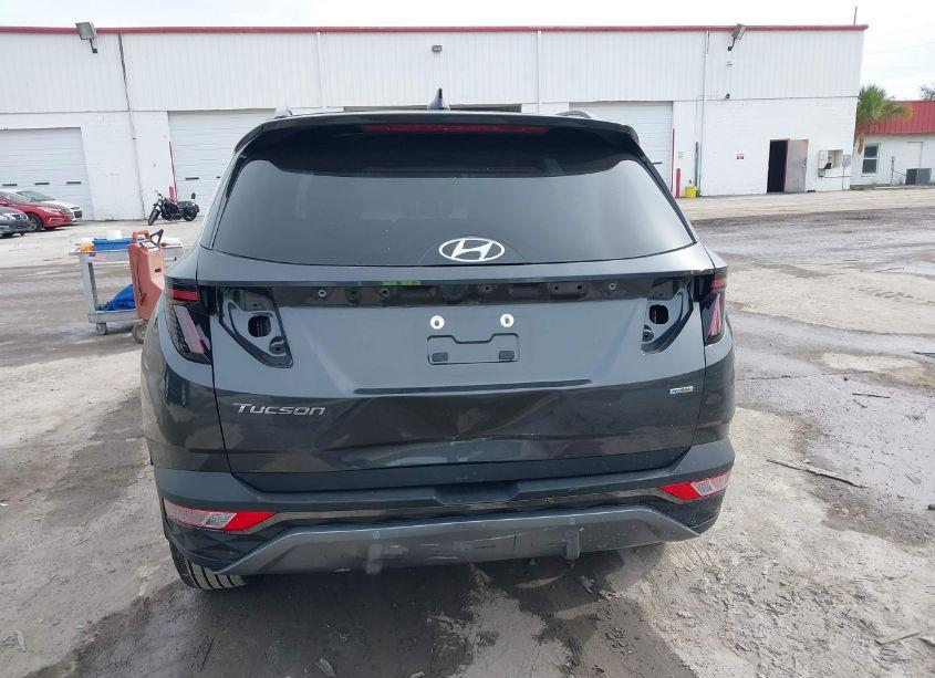 Photo 16 of 2024 Hyundai Tucson LIMITED (VIN 5NMJECDE5RH306668)