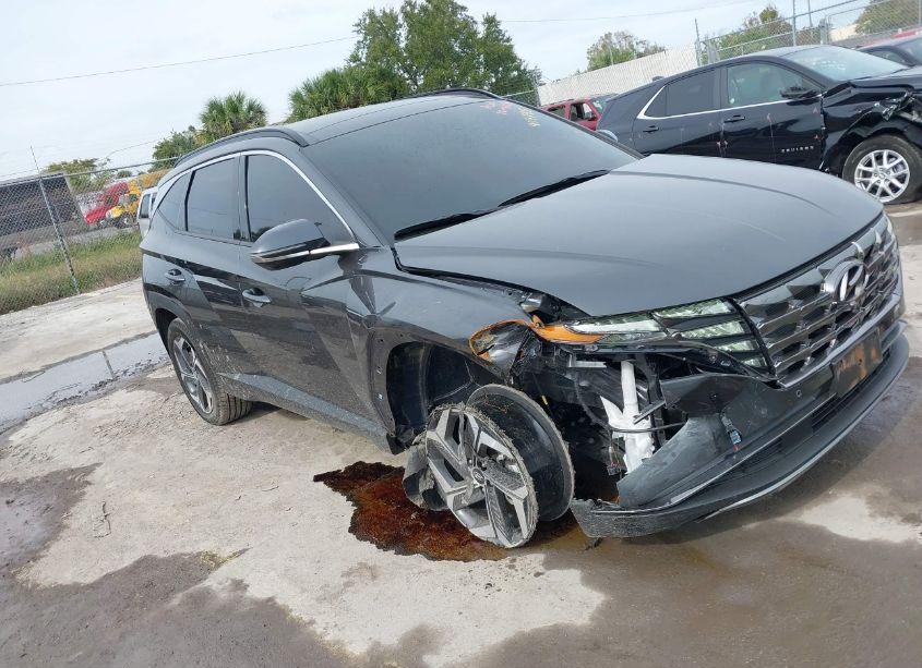 Photo 6 of 2024 Hyundai Tucson LIMITED (VIN 5NMJECDE5RH306668)