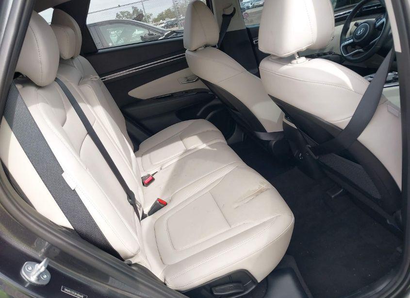 Photo 8 of 2024 Hyundai Tucson LIMITED (VIN 5NMJECDE5RH306668)