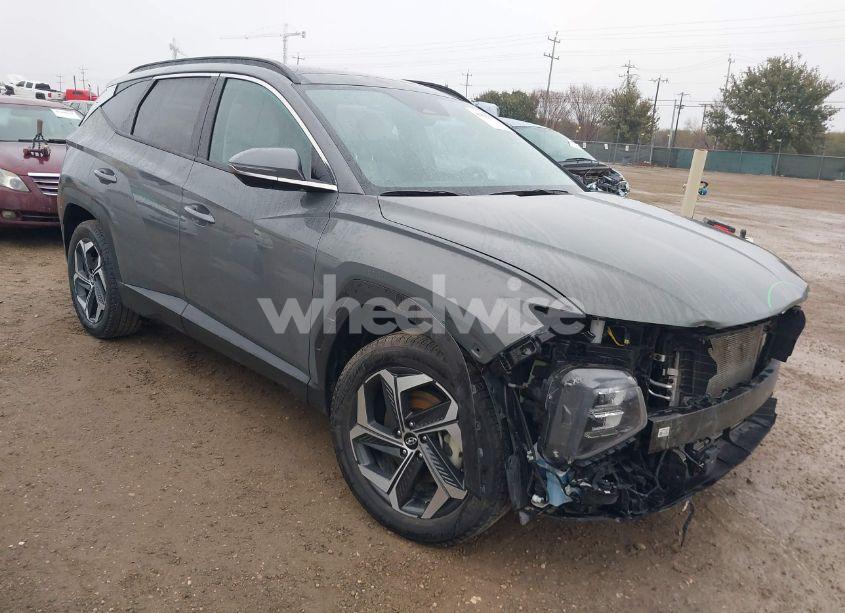 2024 Hyundai Tucson LIMITED (VIN 5NMJECDE6RH300278) main photo