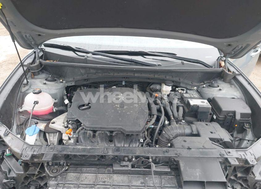 Photo 10 of 2024 Hyundai Tucson LIMITED (VIN 5NMJECDE6RH300278)