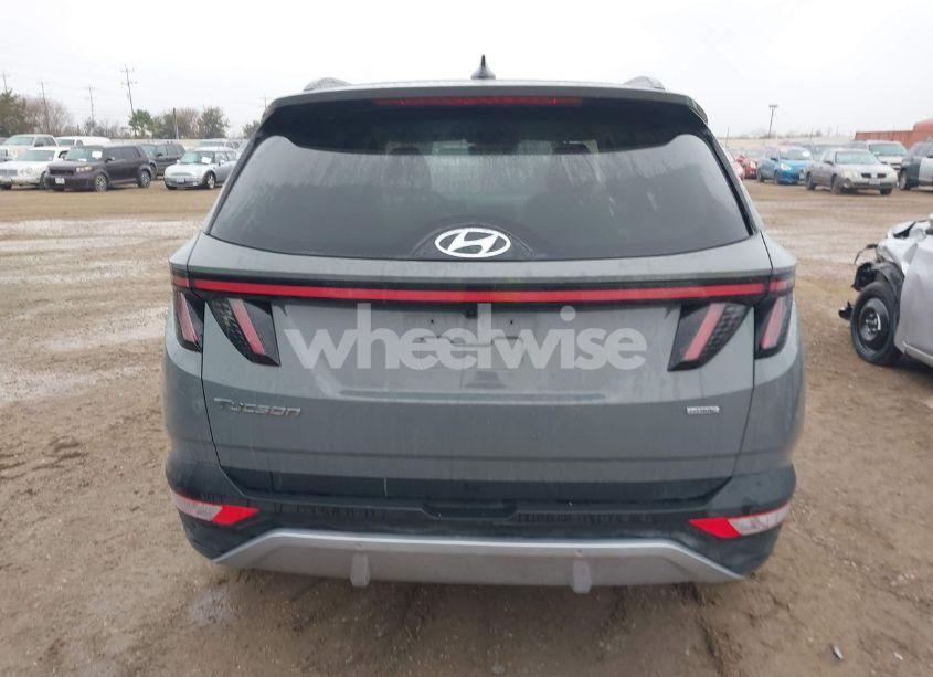 Photo 17 of 2024 Hyundai Tucson LIMITED (VIN 5NMJECDE6RH300278)