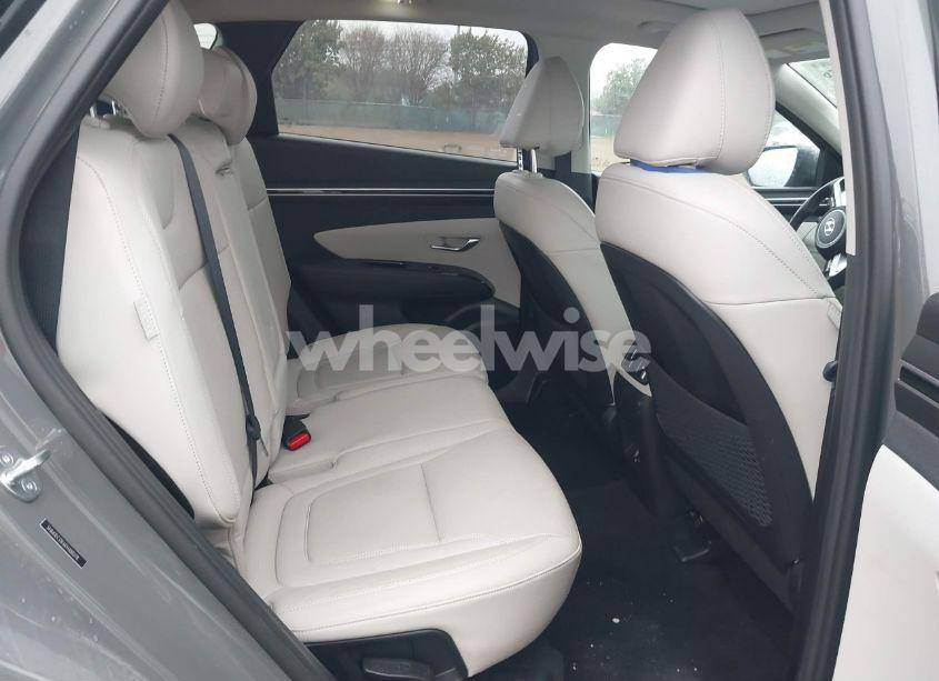 Photo 8 of 2024 Hyundai Tucson LIMITED (VIN 5NMJECDE6RH300278)