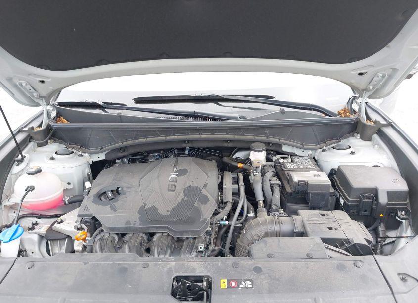 Photo 10 of 2024 Hyundai Tucson LIMITED (VIN 5NMJECDE6RH306730)