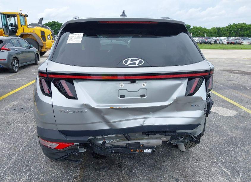 Photo 16 of 2024 Hyundai Tucson LIMITED (VIN 5NMJECDE6RH306730)