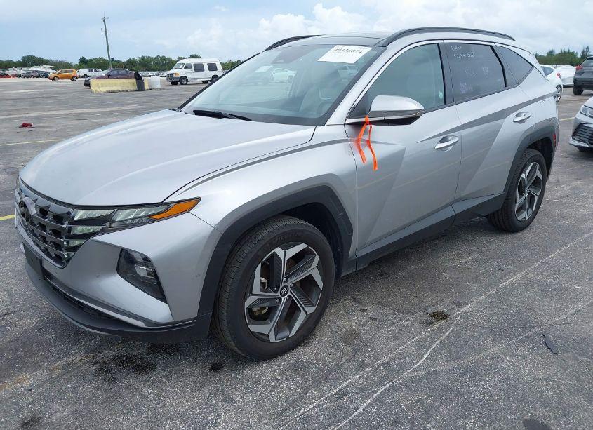 Photo 19 of 2024 Hyundai Tucson LIMITED (VIN 5NMJECDE6RH306730)