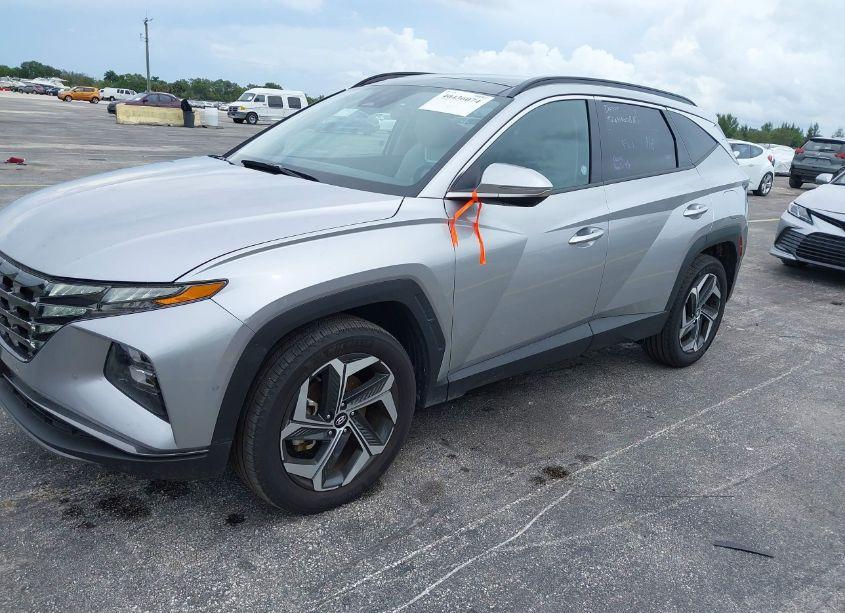 Photo 2 of 2024 Hyundai Tucson LIMITED (VIN 5NMJECDE6RH306730)
