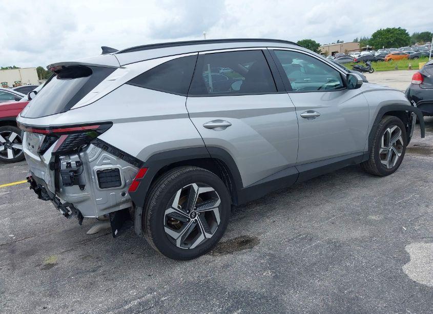 Photo 21 of 2024 Hyundai Tucson LIMITED (VIN 5NMJECDE6RH306730)