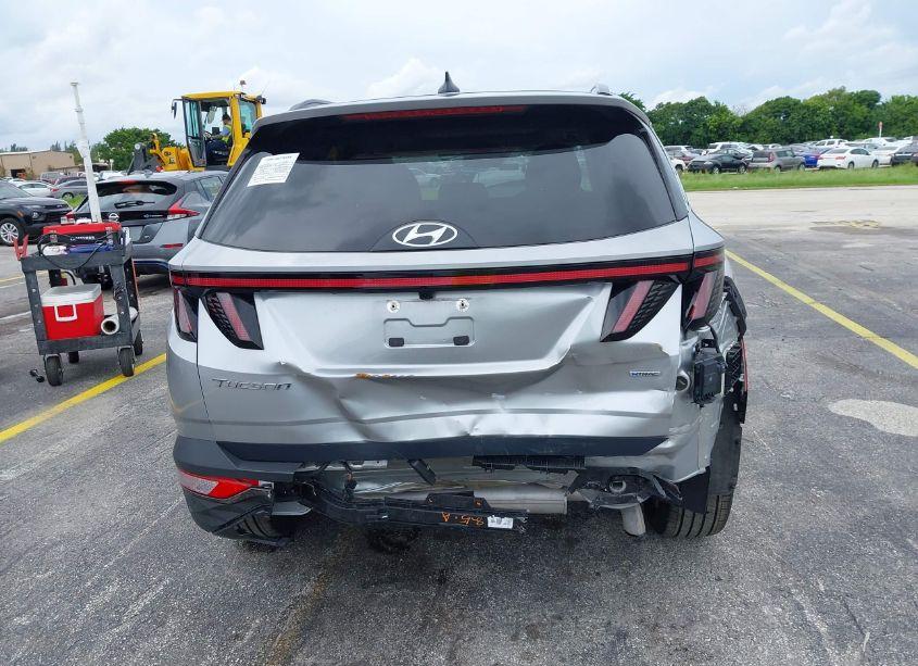 Photo 6 of 2024 Hyundai Tucson LIMITED (VIN 5NMJECDE6RH306730)