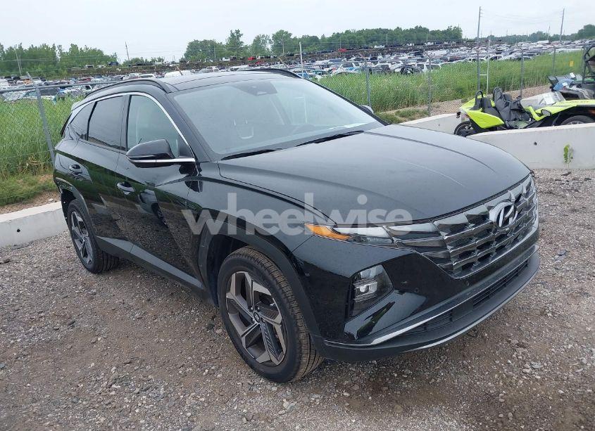 2024 Hyundai Tucson LIMITED (VIN 5NMJECDE6RH388846) main photo