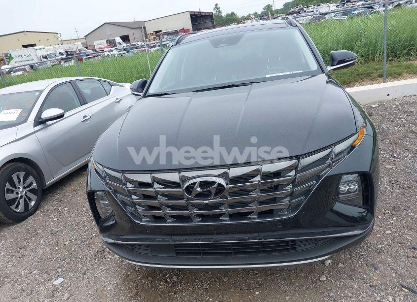 Photo 12 of 2024 Hyundai Tucson LIMITED (VIN 5NMJECDE6RH388846)
