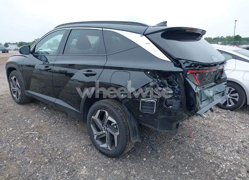 Photo 3 of 2024 Hyundai Tucson LIMITED (VIN 5NMJECDE6RH388846)