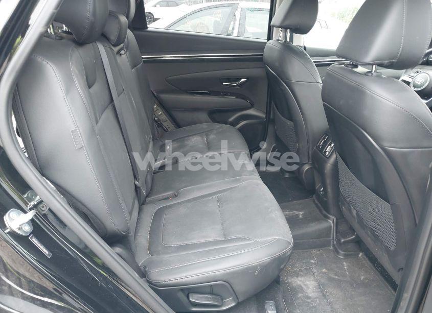 Photo 8 of 2024 Hyundai Tucson LIMITED (VIN 5NMJECDE6RH388846)