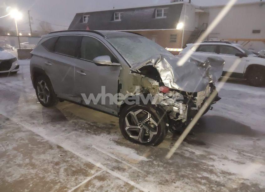 2024 Hyundai Tucson LIMITED (VIN 5NMJECDE6RH434059) main photo