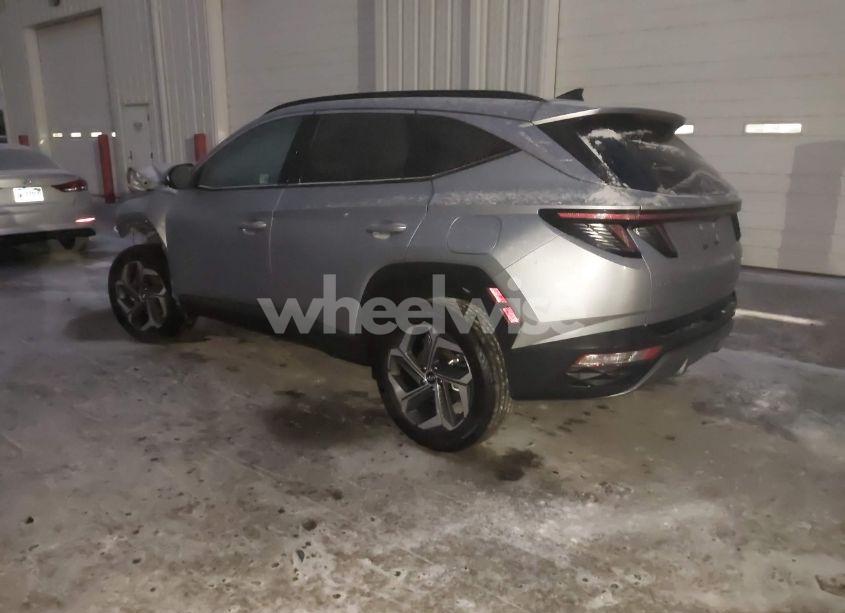 Photo 3 of 2024 Hyundai Tucson LIMITED (VIN 5NMJECDE6RH434059)