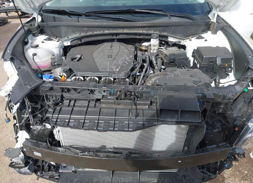 Photo 10 of 2025 Hyundai Tucson LIMITED (VIN 5NMJECDE6SH462191)