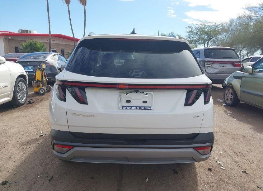 Photo 17 of 2025 Hyundai Tucson LIMITED (VIN 5NMJECDE6SH462191)