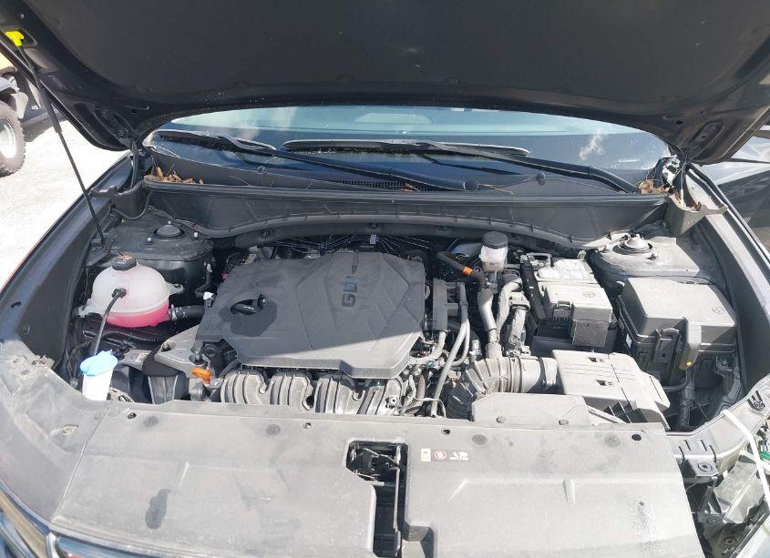 Photo 10 of 2024 Hyundai Tucson LIMITED (VIN 5NMJECDE7RH306123)