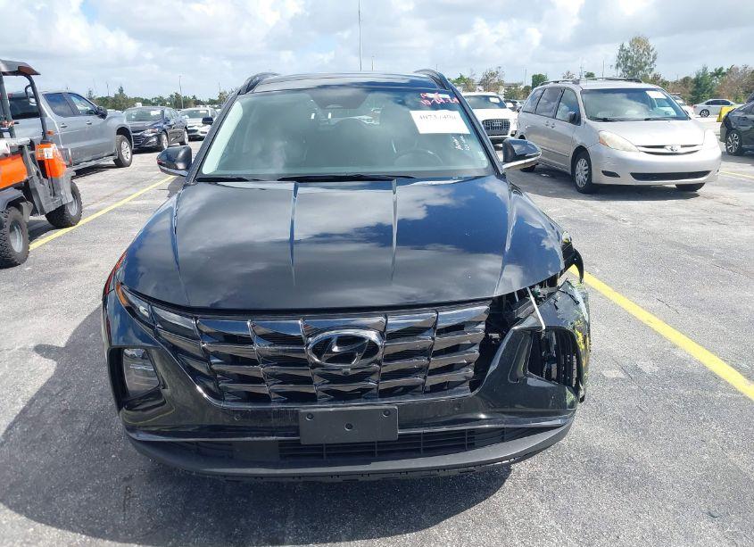 Photo 12 of 2024 Hyundai Tucson LIMITED (VIN 5NMJECDE7RH306123)