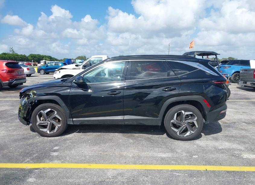 Photo 14 of 2024 Hyundai Tucson LIMITED (VIN 5NMJECDE7RH306123)