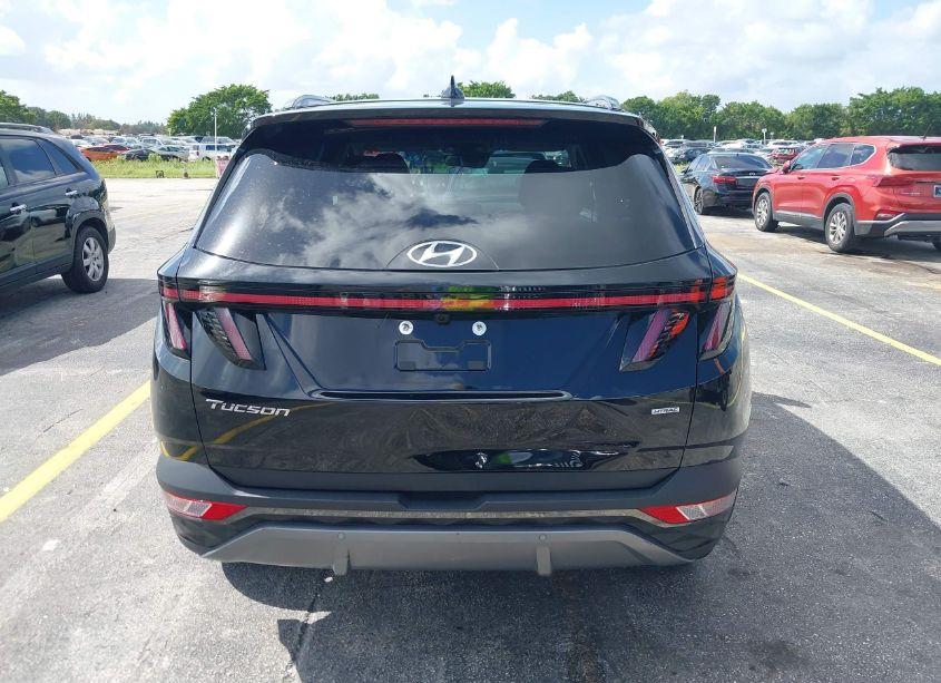 Photo 16 of 2024 Hyundai Tucson LIMITED (VIN 5NMJECDE7RH306123)