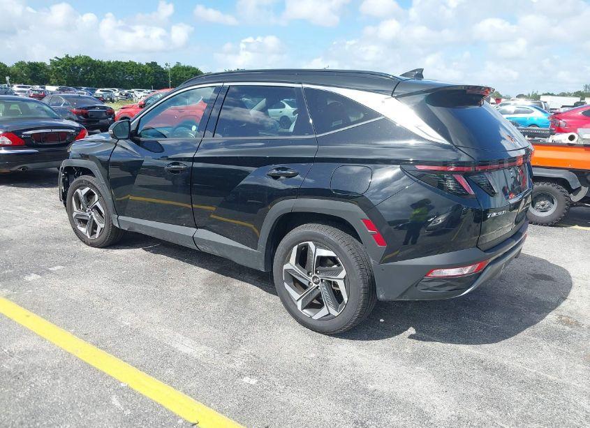 Photo 3 of 2024 Hyundai Tucson LIMITED (VIN 5NMJECDE7RH306123)