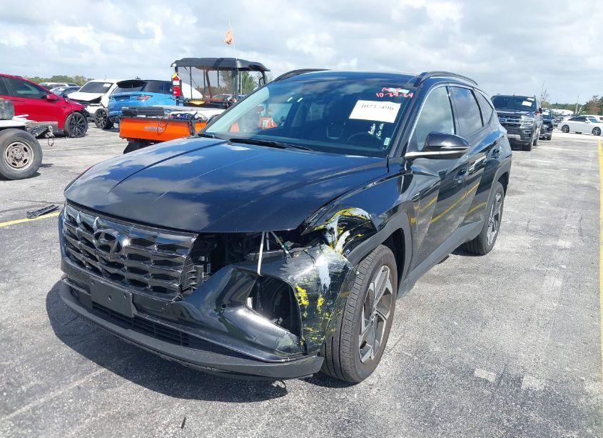 Photo 6 of 2024 Hyundai Tucson LIMITED (VIN 5NMJECDE7RH306123)