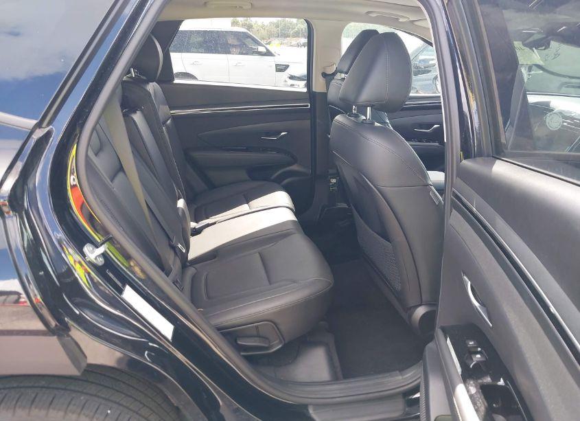 Photo 8 of 2024 Hyundai Tucson LIMITED (VIN 5NMJECDE7RH306123)