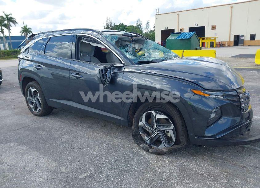 2024 Hyundai Tucson LIMITED (VIN 5NMJECDE7RH359453) main photo