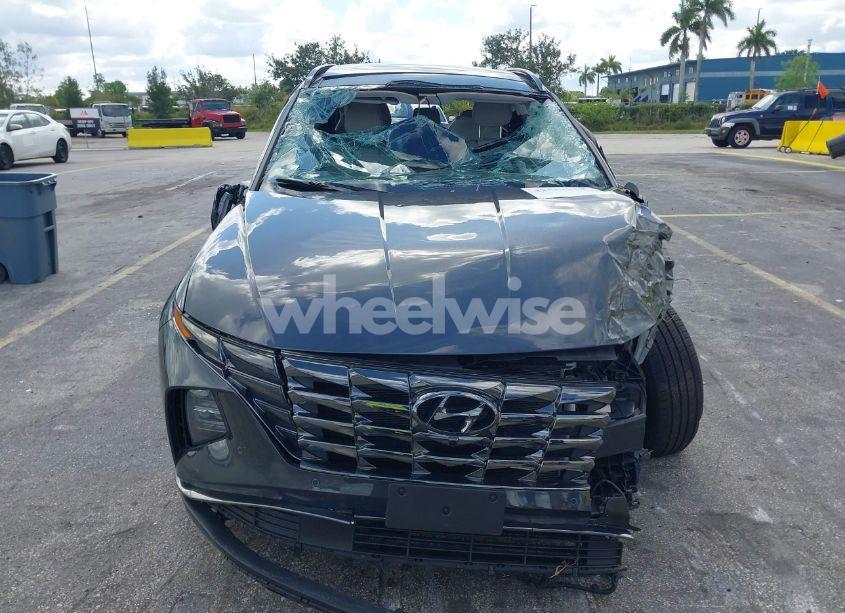 Photo 12 of 2024 Hyundai Tucson LIMITED (VIN 5NMJECDE7RH359453)