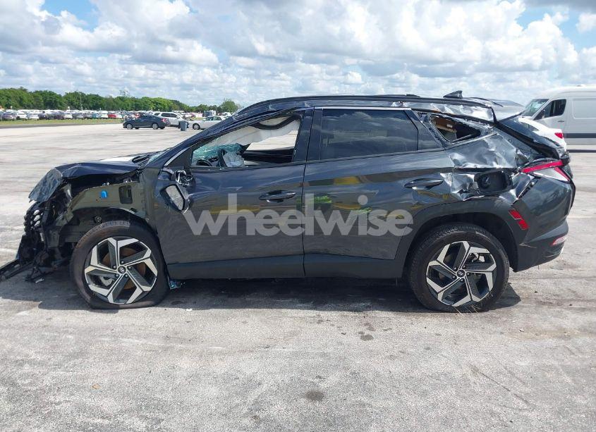 Photo 14 of 2024 Hyundai Tucson LIMITED (VIN 5NMJECDE7RH359453)