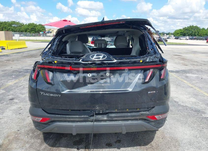 Photo 16 of 2024 Hyundai Tucson LIMITED (VIN 5NMJECDE7RH359453)