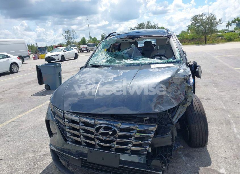 Photo 6 of 2024 Hyundai Tucson LIMITED (VIN 5NMJECDE7RH359453)