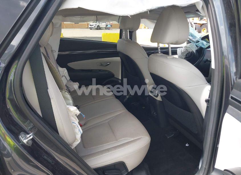 Photo 8 of 2024 Hyundai Tucson LIMITED (VIN 5NMJECDE7RH359453)