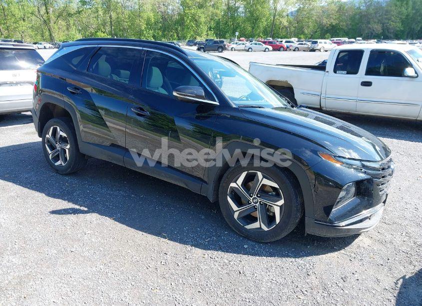 2024 Hyundai Tucson LIMITED (VIN 5NMJECDE8RH330138) main photo