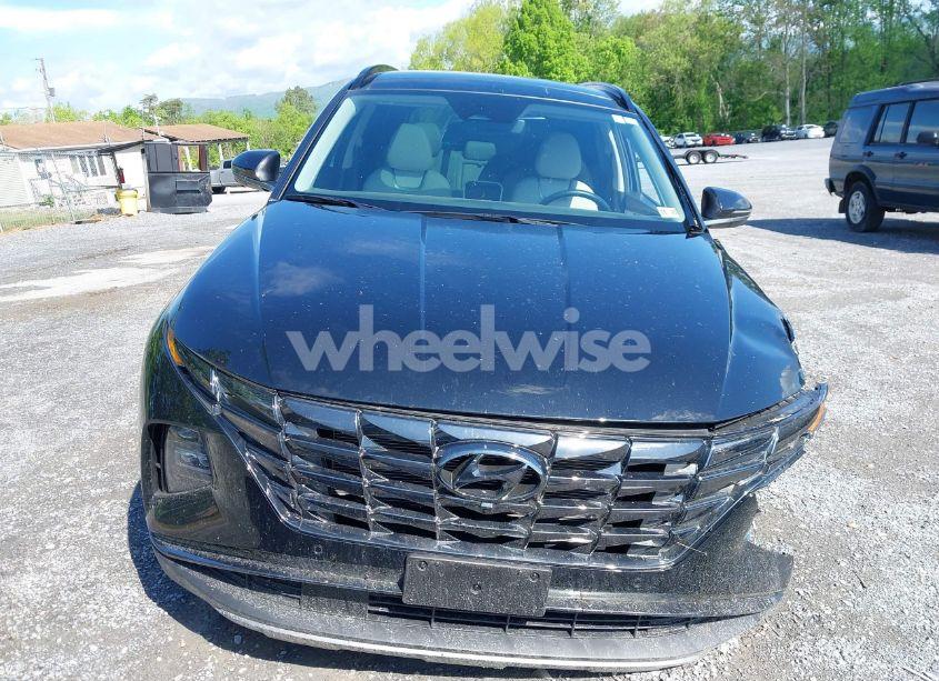 Photo 13 of 2024 Hyundai Tucson LIMITED (VIN 5NMJECDE8RH330138)