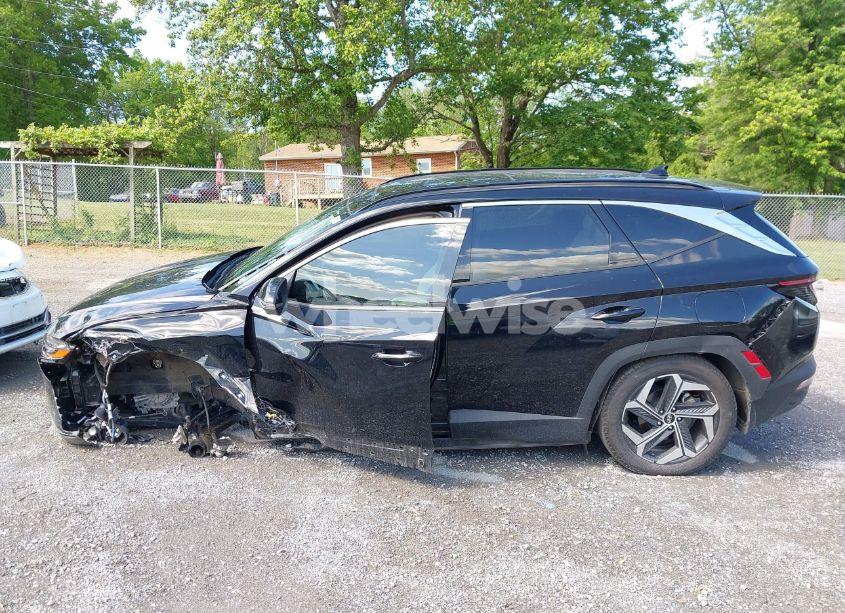Photo 15 of 2024 Hyundai Tucson LIMITED (VIN 5NMJECDE8RH330138)