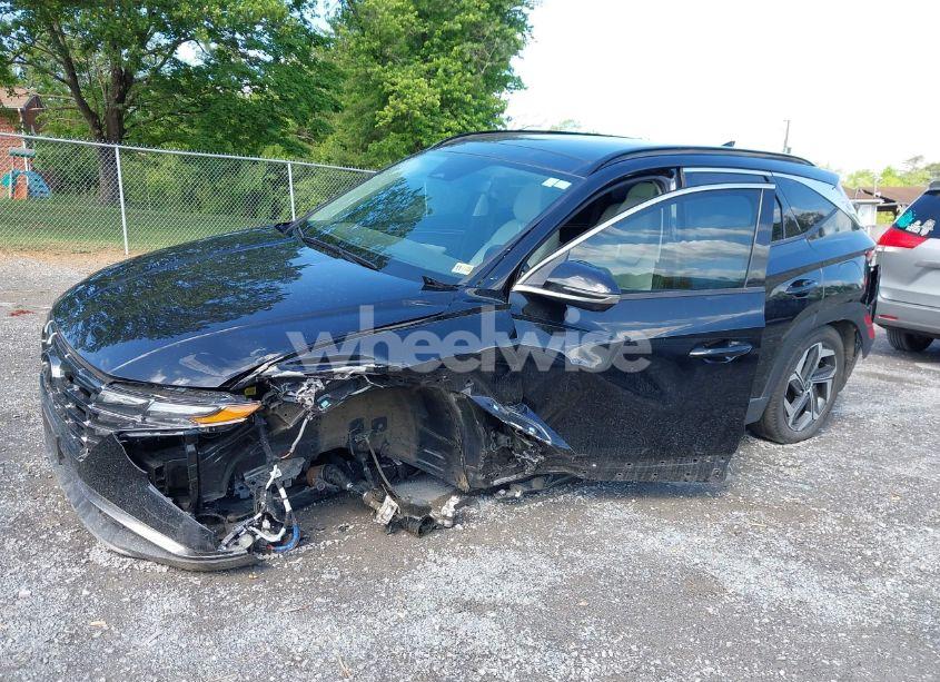 Photo 6 of 2024 Hyundai Tucson LIMITED (VIN 5NMJECDE8RH330138)