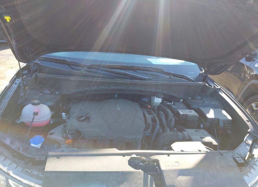 Photo 10 of 2024 Hyundai Tucson LIMITED (VIN 5NMJECDE8RH330950)