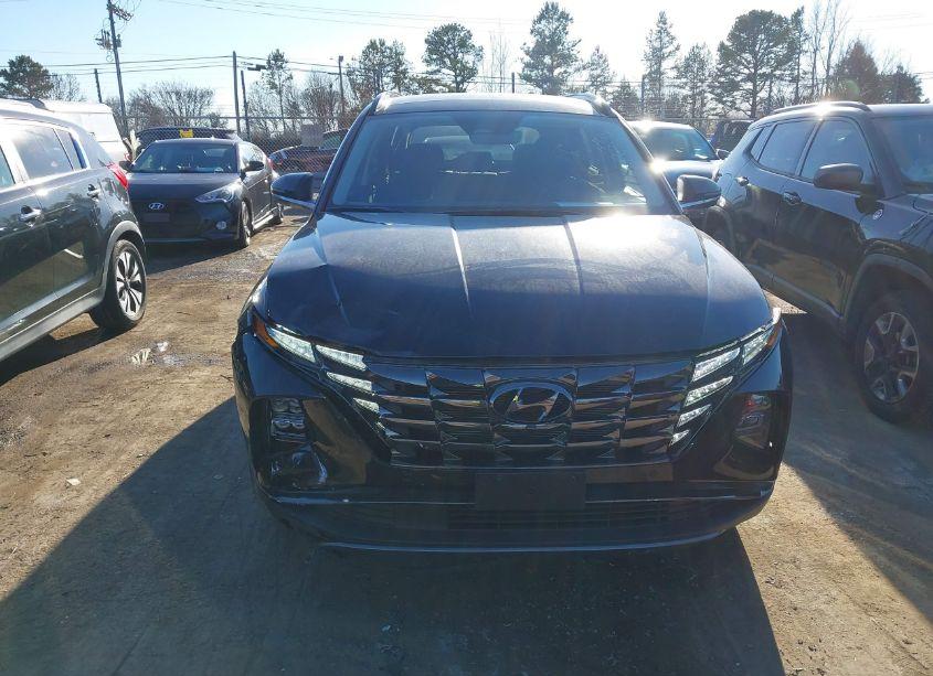 Photo 12 of 2024 Hyundai Tucson LIMITED (VIN 5NMJECDE8RH330950)