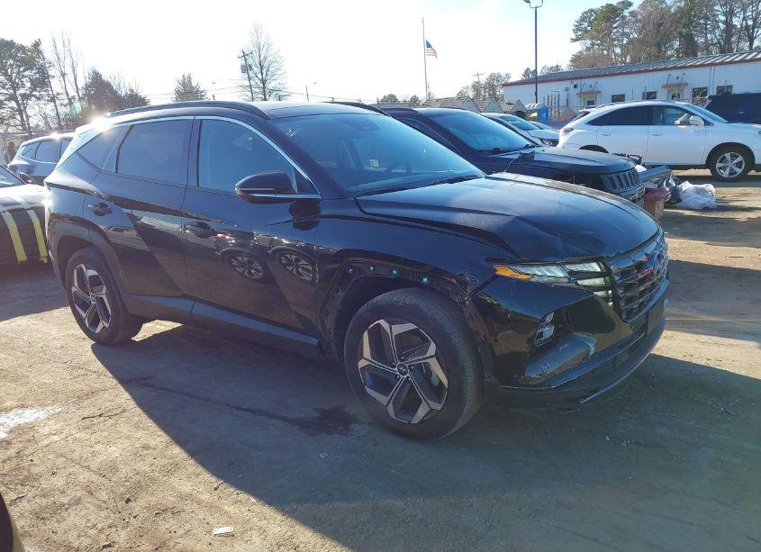 Photo 13 of 2024 Hyundai Tucson LIMITED (VIN 5NMJECDE8RH330950)