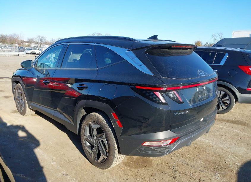 Photo 14 of 2024 Hyundai Tucson LIMITED (VIN 5NMJECDE8RH330950)