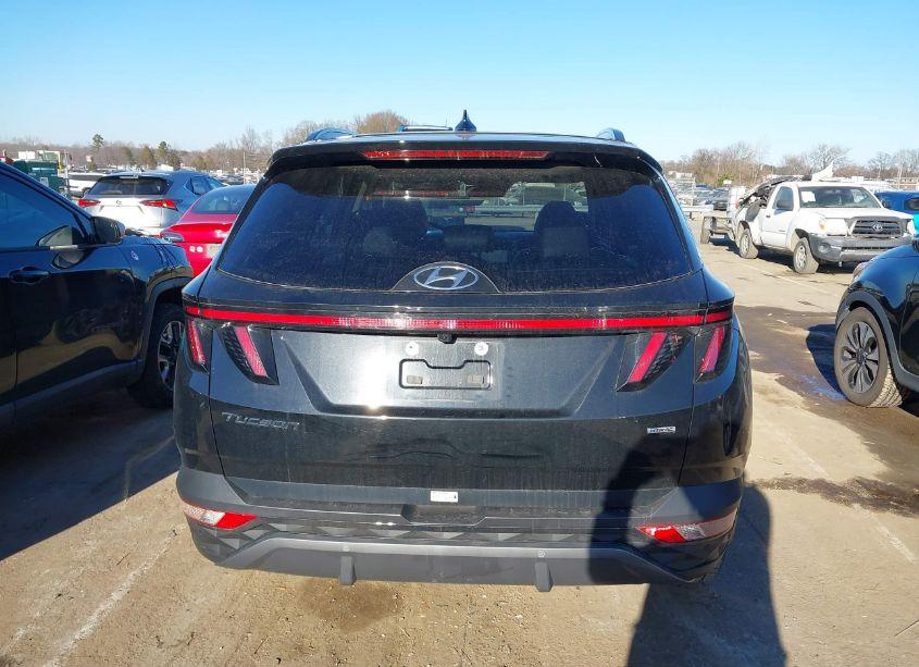 Photo 16 of 2024 Hyundai Tucson LIMITED (VIN 5NMJECDE8RH330950)