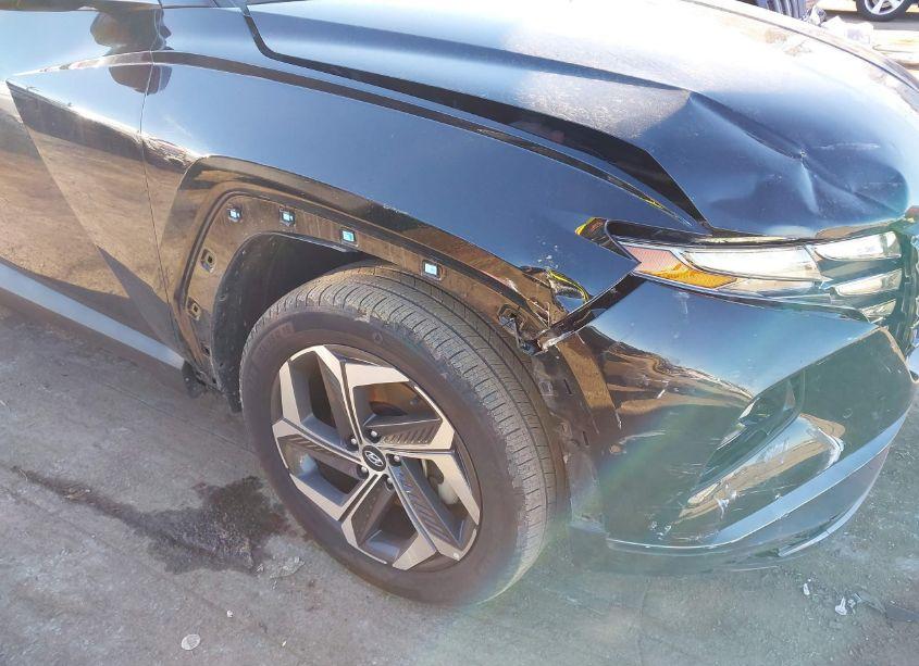 Photo 17 of 2024 Hyundai Tucson LIMITED (VIN 5NMJECDE8RH330950)